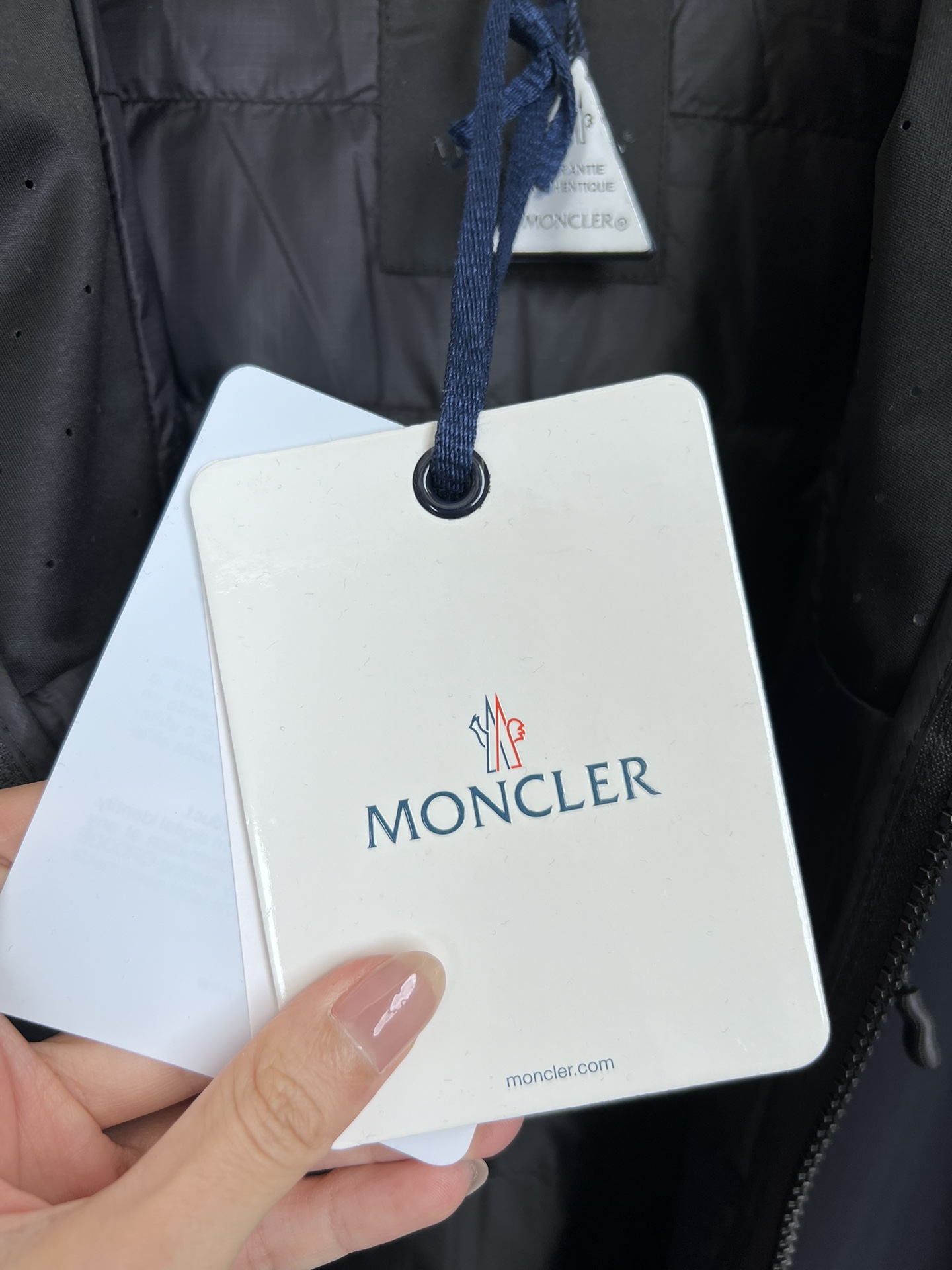 Moncler Down Jackets